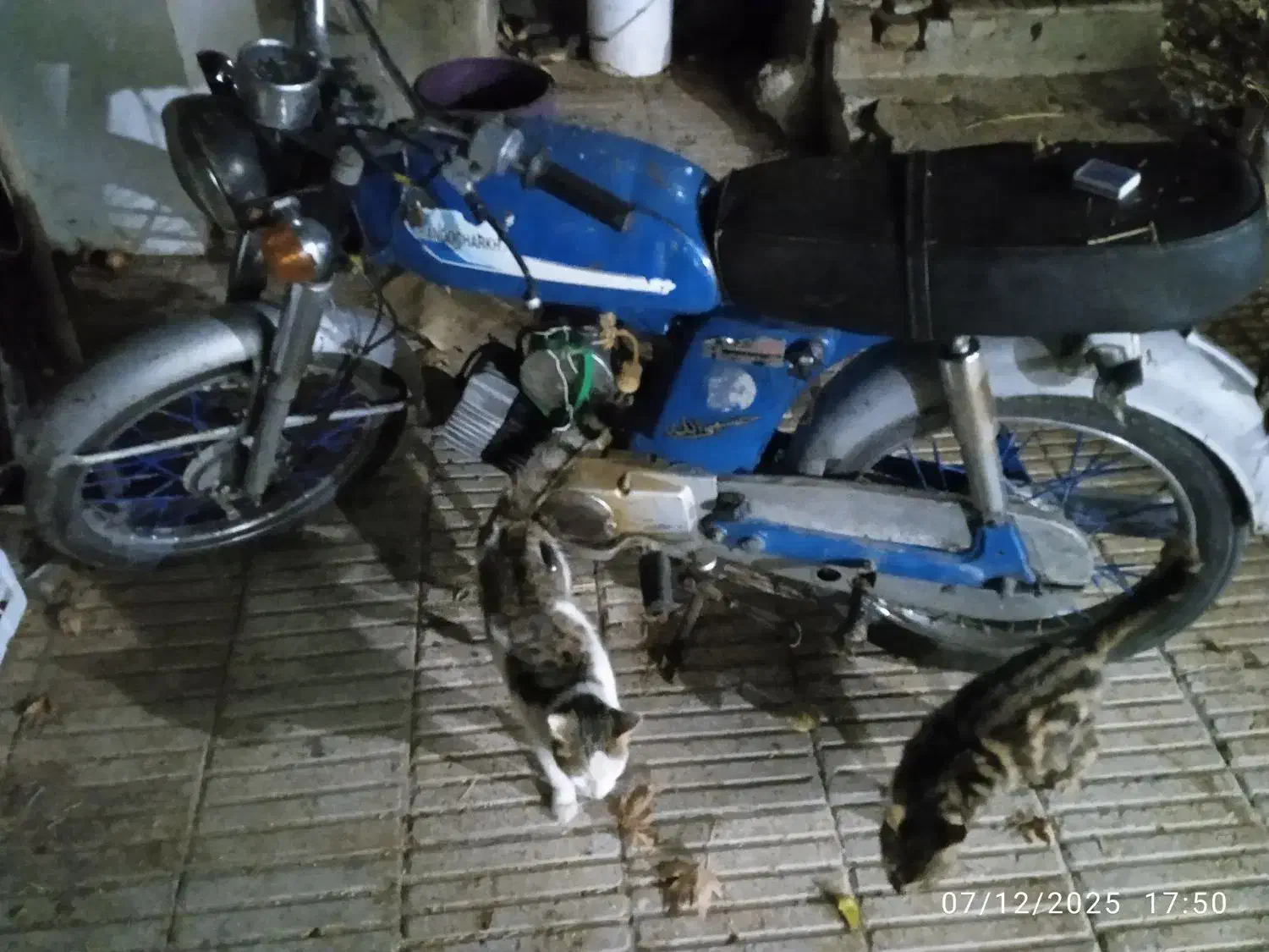 موتور یاماها 100درجه.یک|موتورسیکلت|سبزوار, قصبه غربی|دیوار