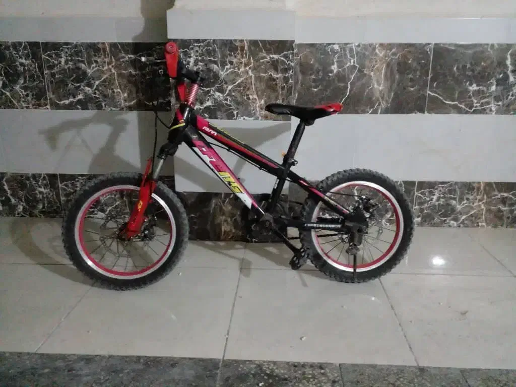 صاحب دوچرخه|دوچرخه، اسکیت، اسکوتر|بندر گناوه, |دیوار