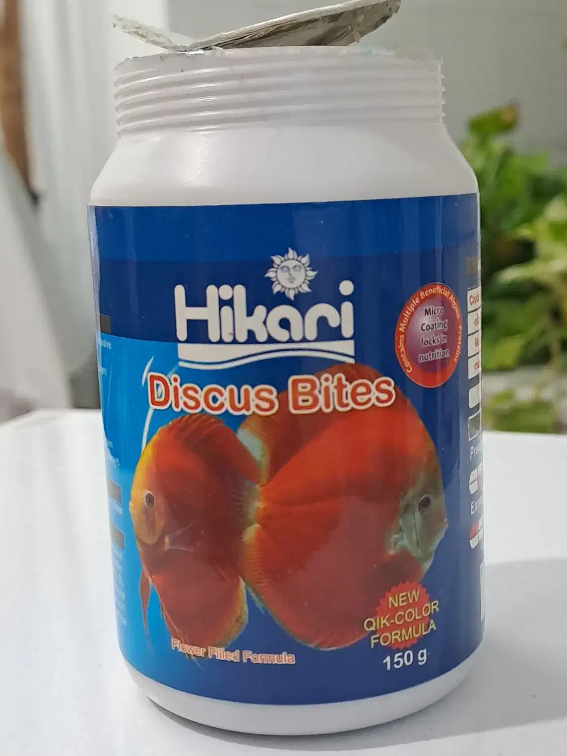 گیاه اکواریوم وغذای ماهی دیسکس|ماهی|شیراز, فرگاز|دیوار