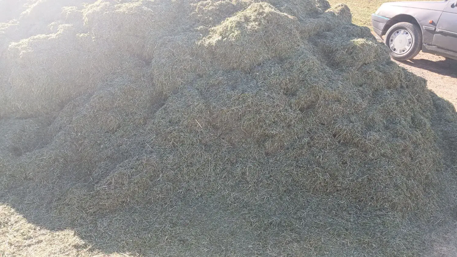 یونجه|خدمات باغبانی و درختکاری|کامیاران, |دیوار