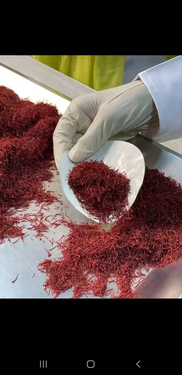 زعفران اصیل قائنات + خوش طعم خوش رنگ+ تضمین کیفیت|خوردنی و آشامیدنی|شیراز, گلدشت معالی‌آباد|دیوار