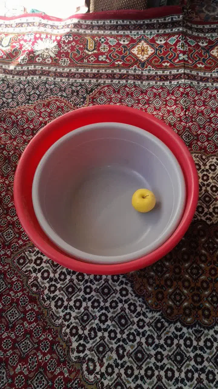 سطل زباله و سطل بزرگ چهار پایه پادری|ظروف نگهدارنده، پلاستیکی، یک‌بارمصرف|بومهن, |دیوار