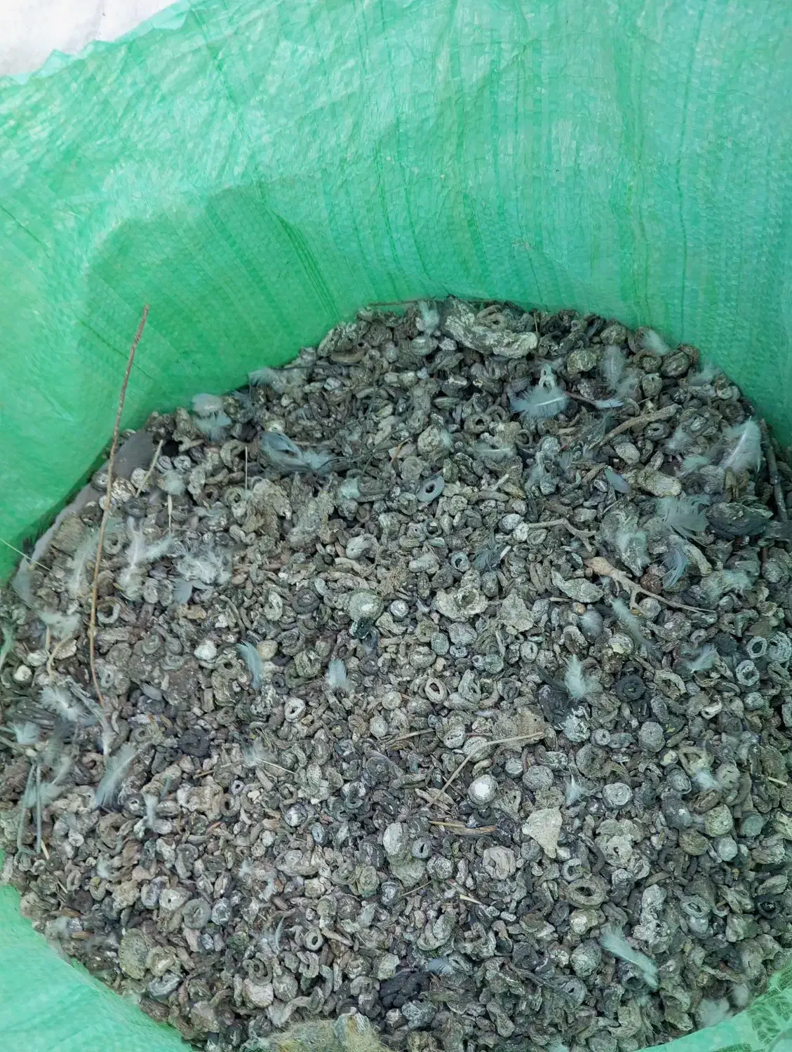 کود کبوتر|خدمات باغبانی و درختکاری|سیدان, |دیوار