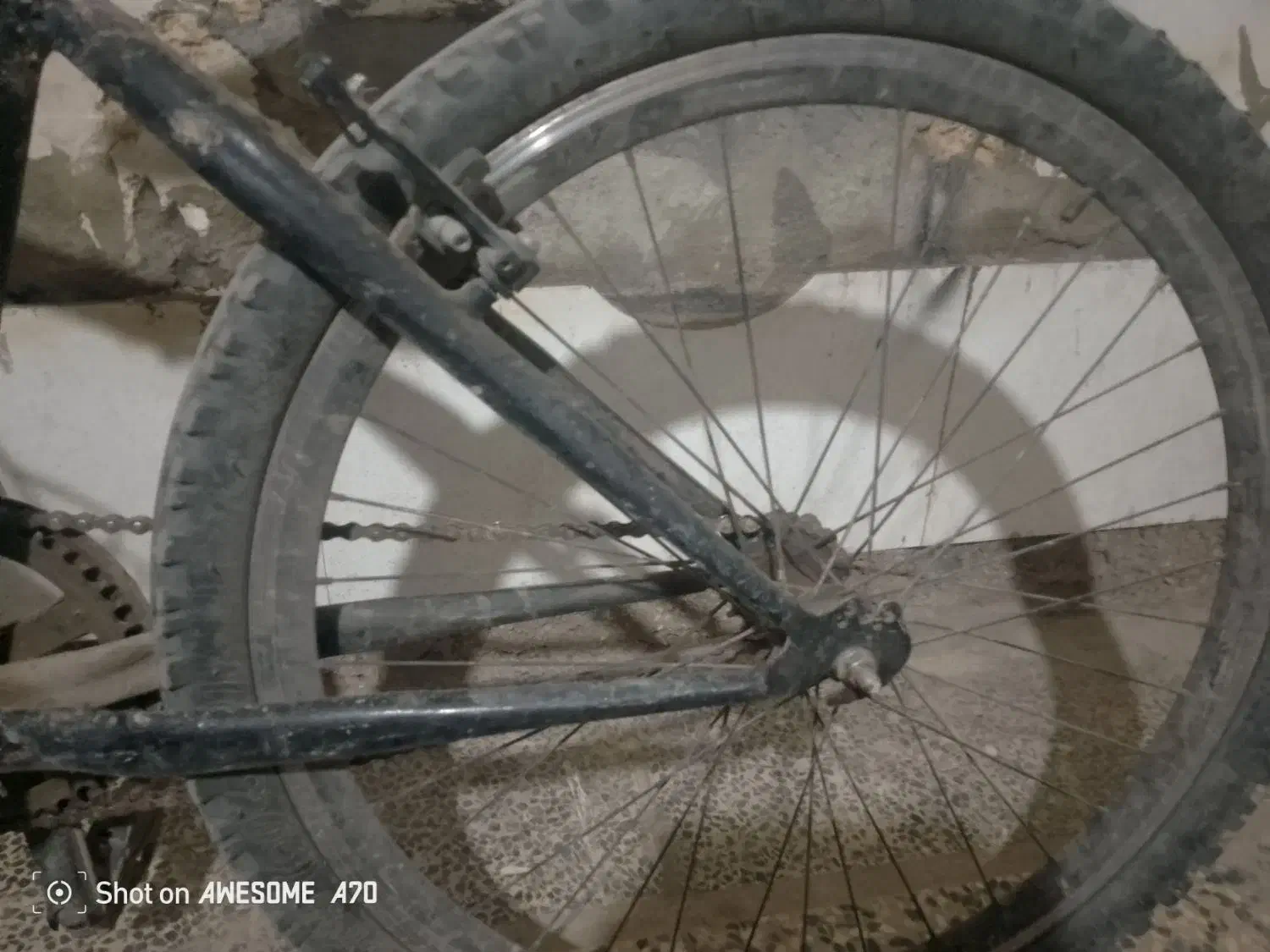 دوچرخه ۲۶|دوچرخه، اسکیت، اسکوتر|مسجد سلیمان, |دیوار