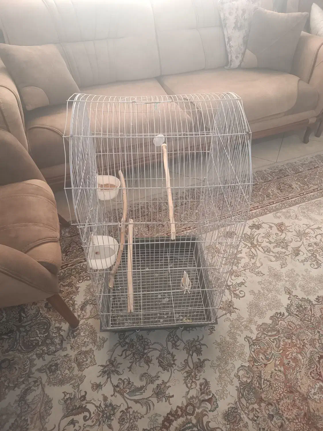 قفس|لوازم جانبی حیوانات|تهران, مسعودیه|دیوار