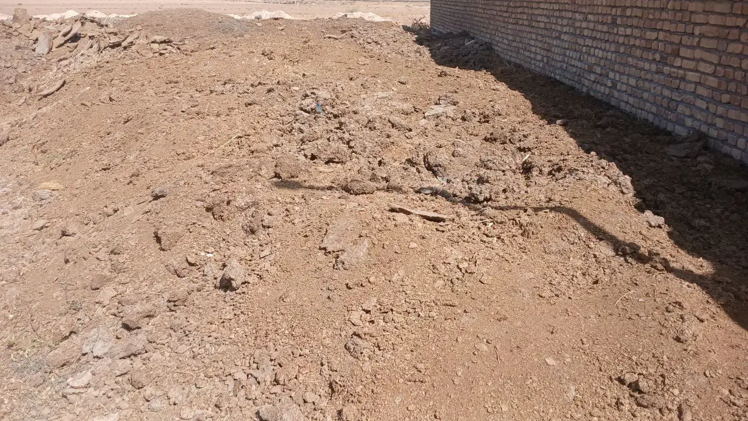 کود کهنه گاوی|لوازم جانبی حیوانات|تاکستان, |دیوار