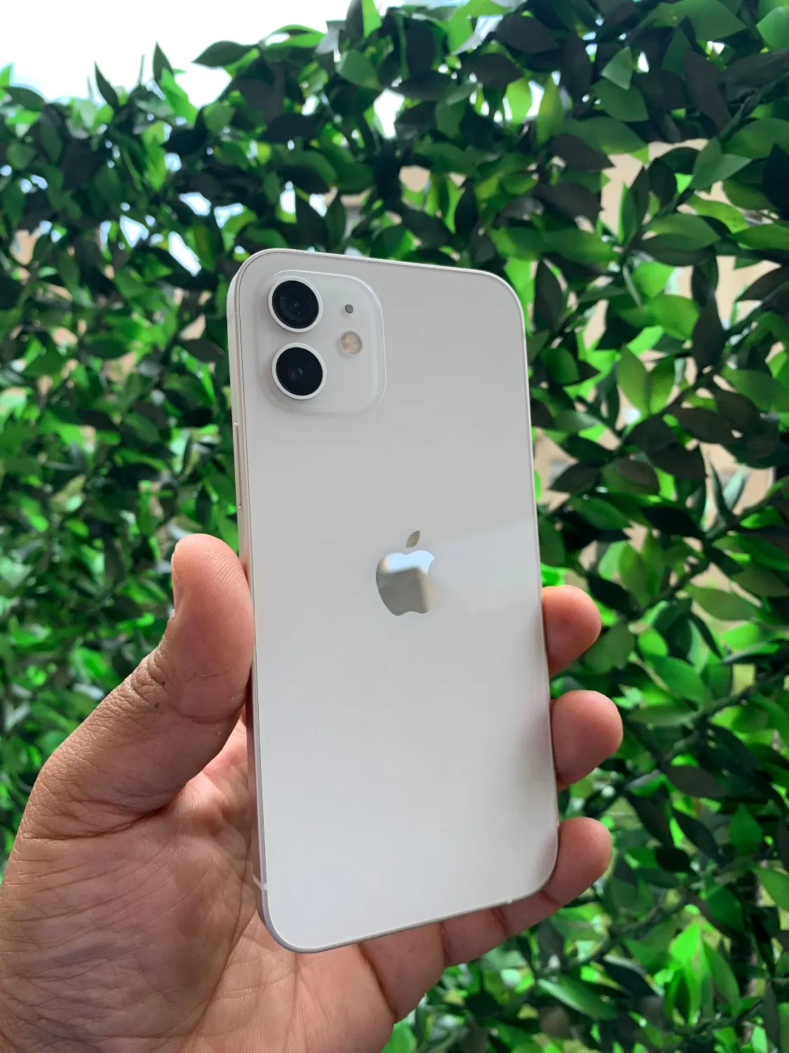 Iphone 12|موبایل|ارومیه, |دیوار