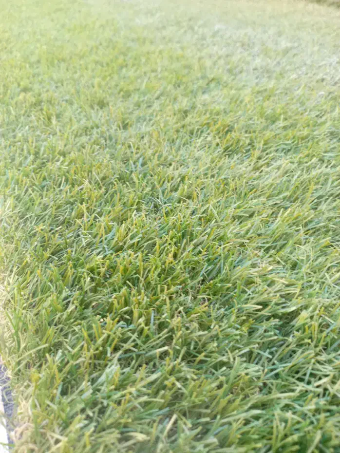 یه رول چمن مصنوعی|مصالح و تجهیزات ساختمان|اصفهان, الهیه|دیوار