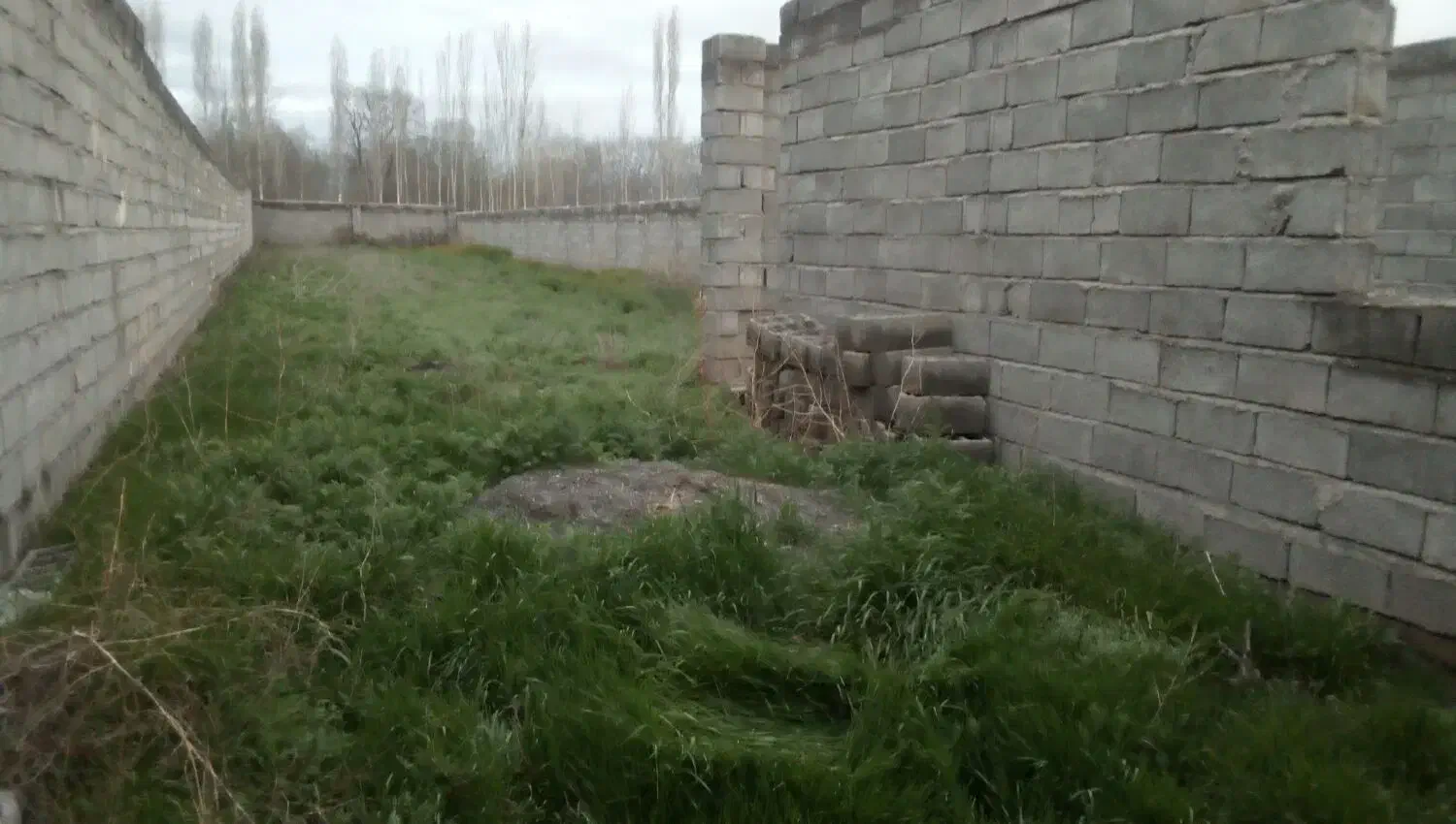 زمین کشاورزی در روستای پیر موسی|فروش دفتر صنعتی، کشاورزی، تجاری|فیرورق, |دیوار