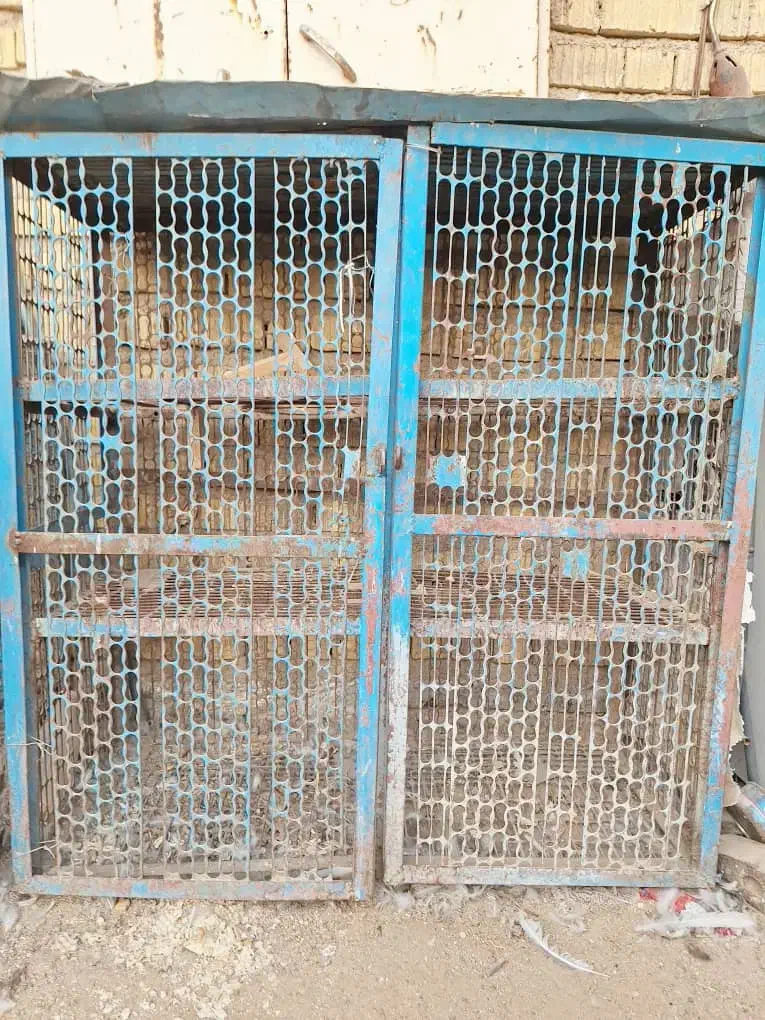 قفس مرغ خروس|لوازم جانبی حیوانات|شیراز, رکنآباد|دیوار