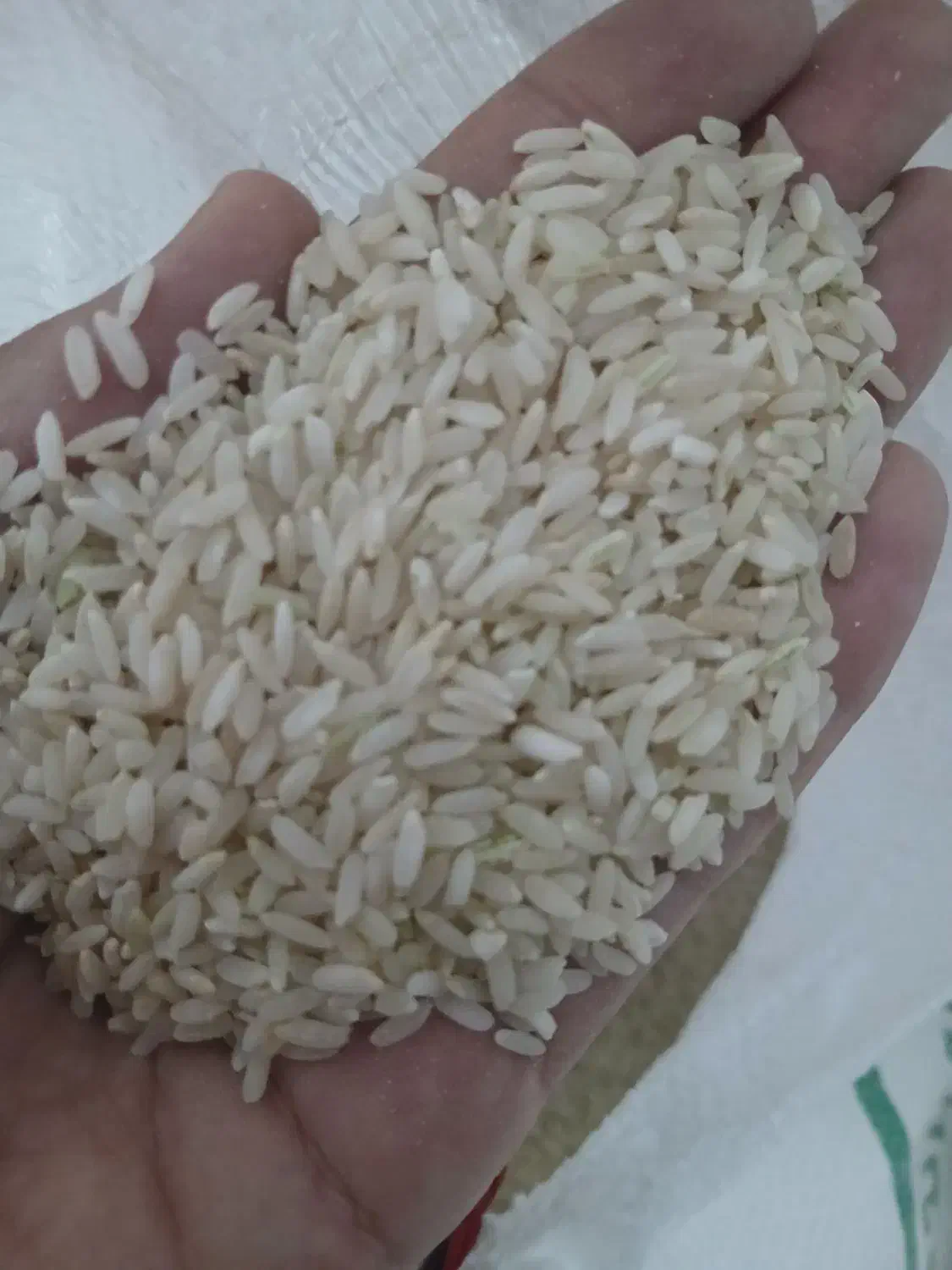 چند تا گونی برنج کرف|خوردنی و آشامیدنی|لردگان, |دیوار