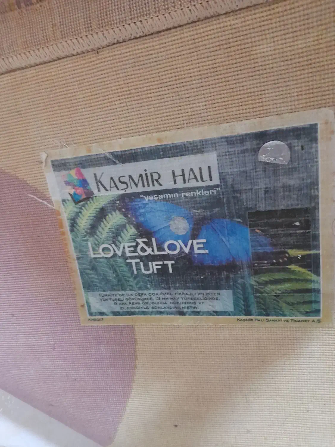 فرش اتاق خواب ۶ متری|فرش|مشهد, فلسطین|دیوار