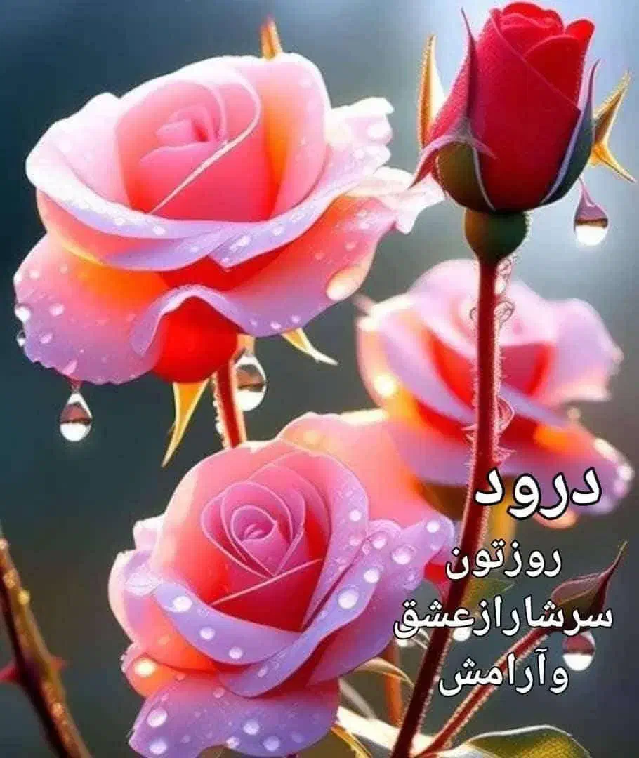 اپارتمان120متر با 50متر حیاط اختصاصی. مدرس آسمان|پیشفروش املاک|بیرجند, |دیوار