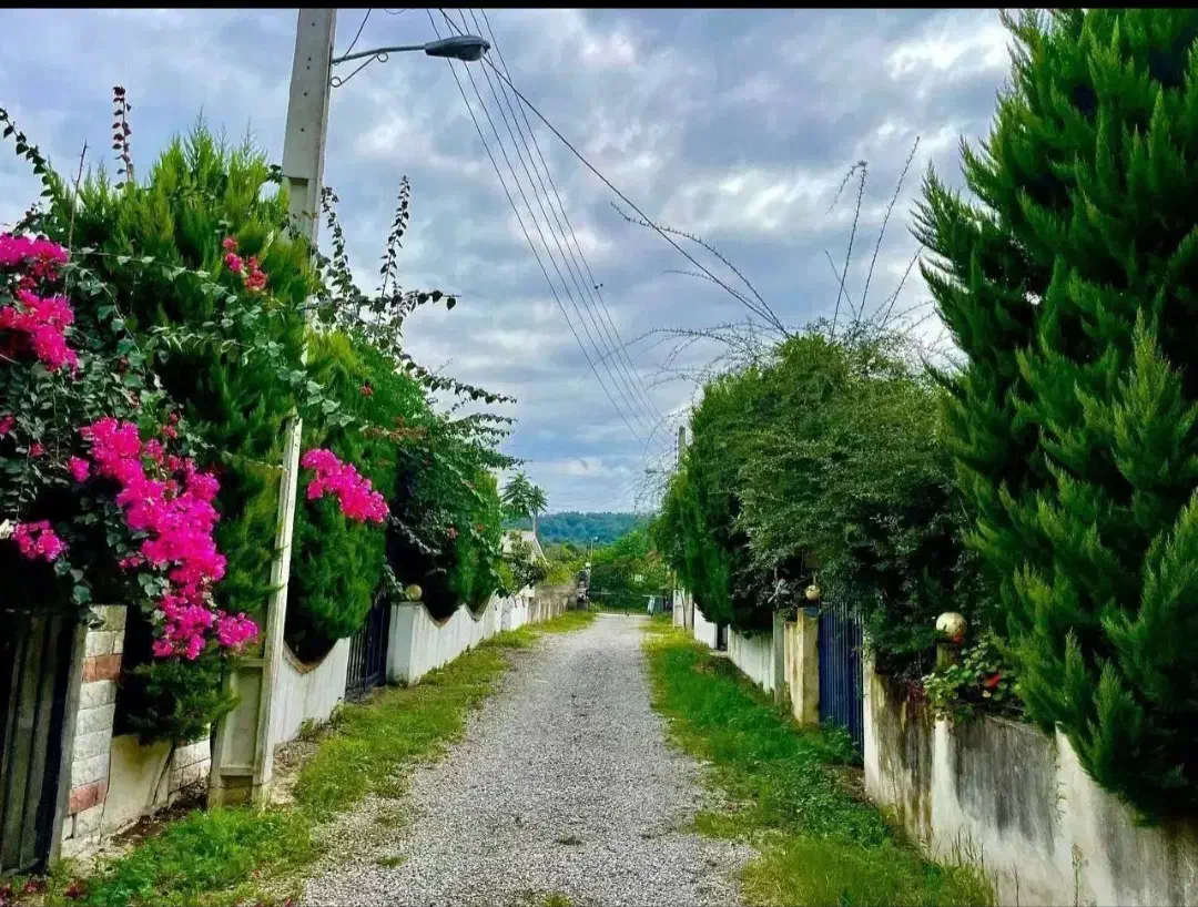 ویلا باغ سرسبز سنددار منطقه برند/اقساطی/معاوضه/|فروش خانه و ویلا|چمستان, |دیوار