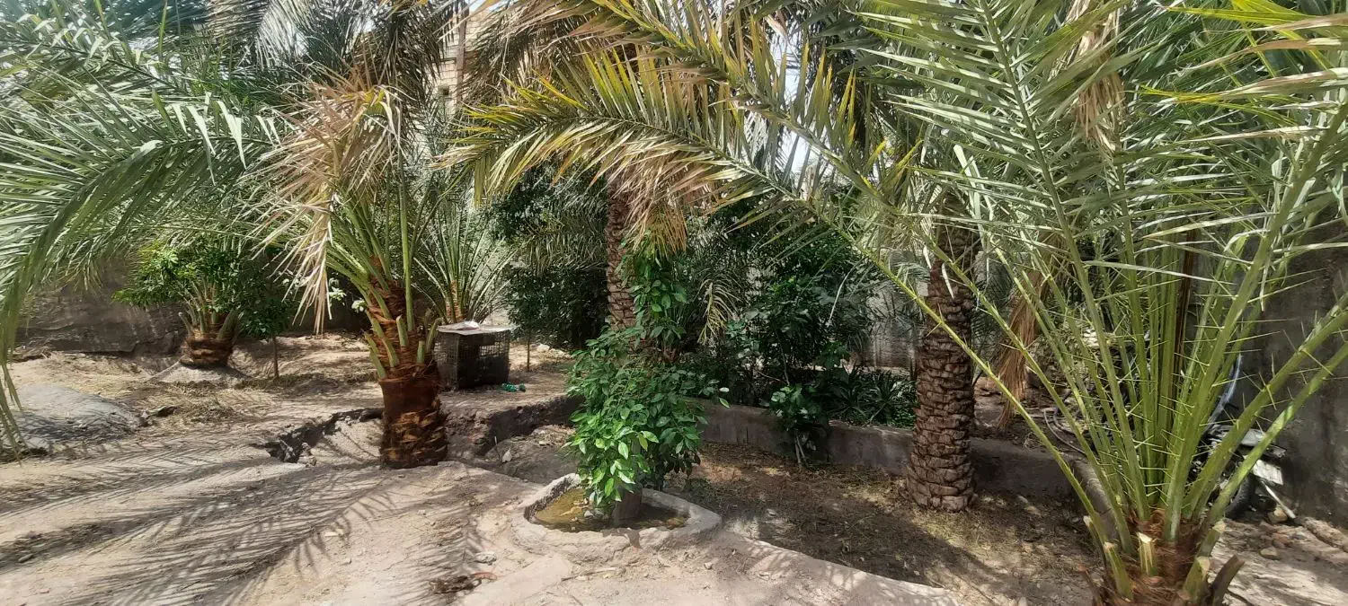 ویلایی ۲ خواب، ۵۲۶متر زمین میدان فرمانداری|فروش خانه و ویلا|بم, |دیوار