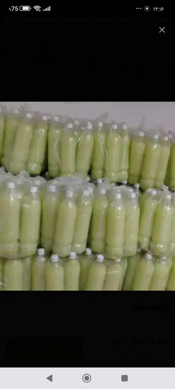 ۳۰۰تاالیمو طبیعی همراه پالم تک وعمده|خوردنی و آشامیدنی|شاهینشهر, حافظ جنوبی|دیوار