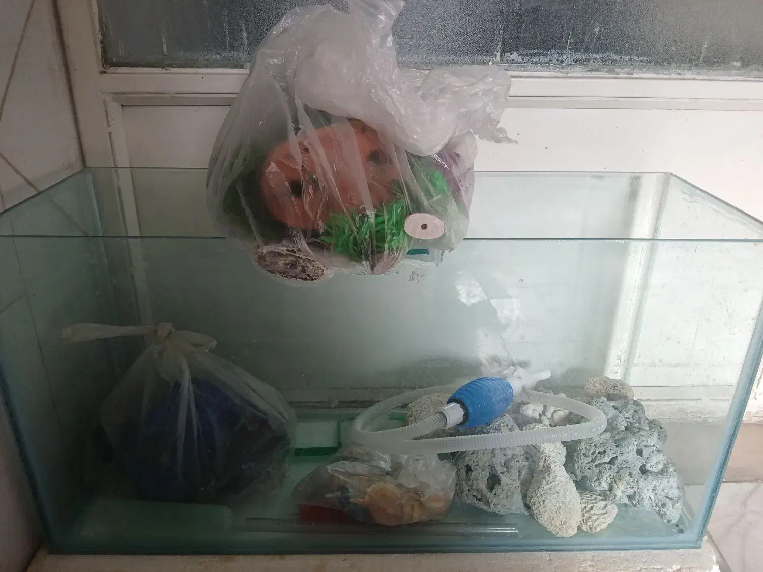 آکواریوم با لوازم|ماهی|ابهر, |دیوار