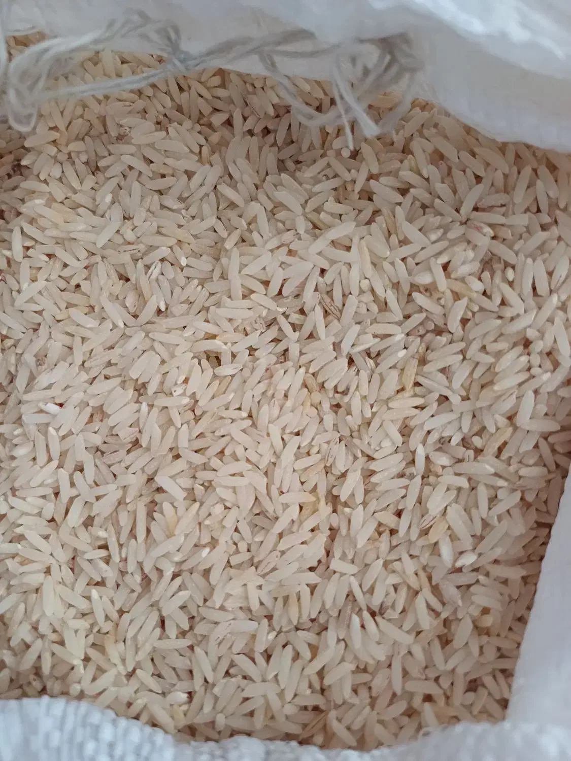 برنج طارم هاشمی(شمال)|خوردنی و آشامیدنی|ساری, |دیوار