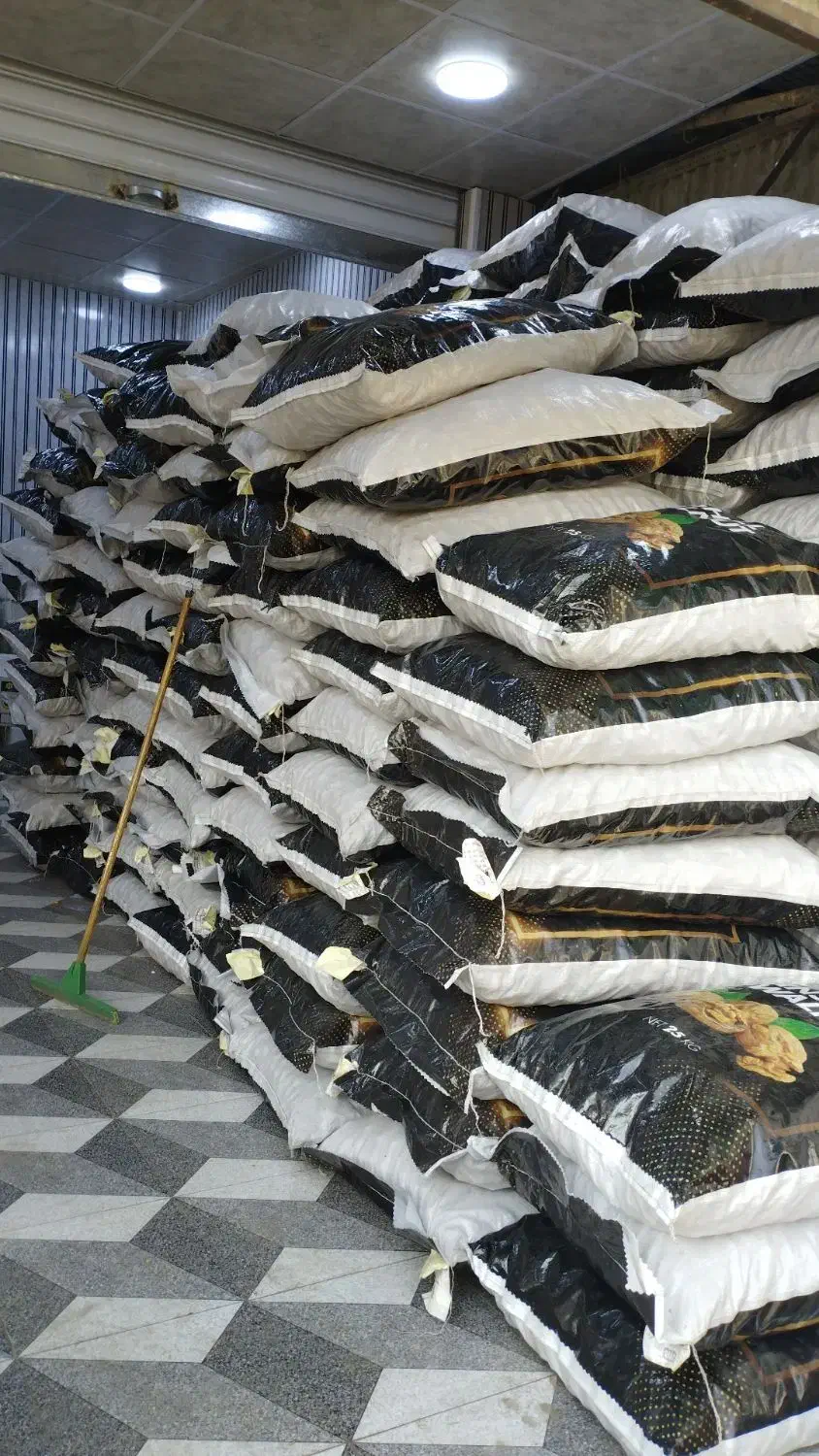 اجیل وخشکبار گردو|خوردنی و آشامیدنی|اهواز, پردیس دو|دیوار