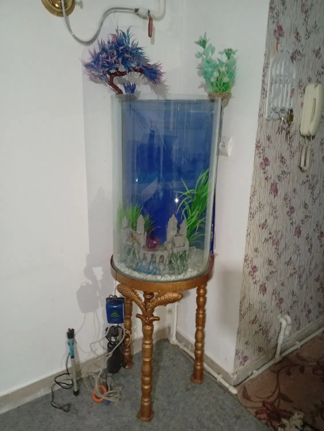 فروش آکواریوم با تمامی وسایل|ماهی|بروجرد, |دیوار