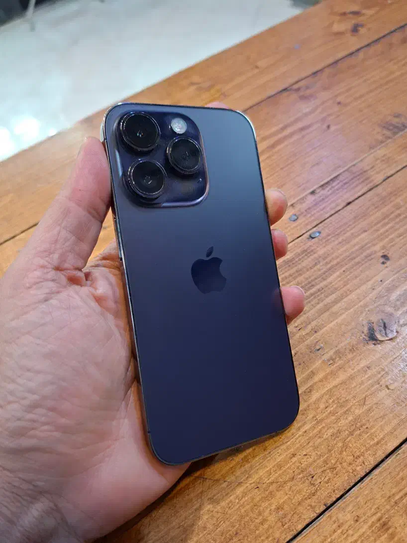 ۱۴ پرو ریجستری شده پلمپ|موبایل|مشهد, هفده شهریور|دیوار