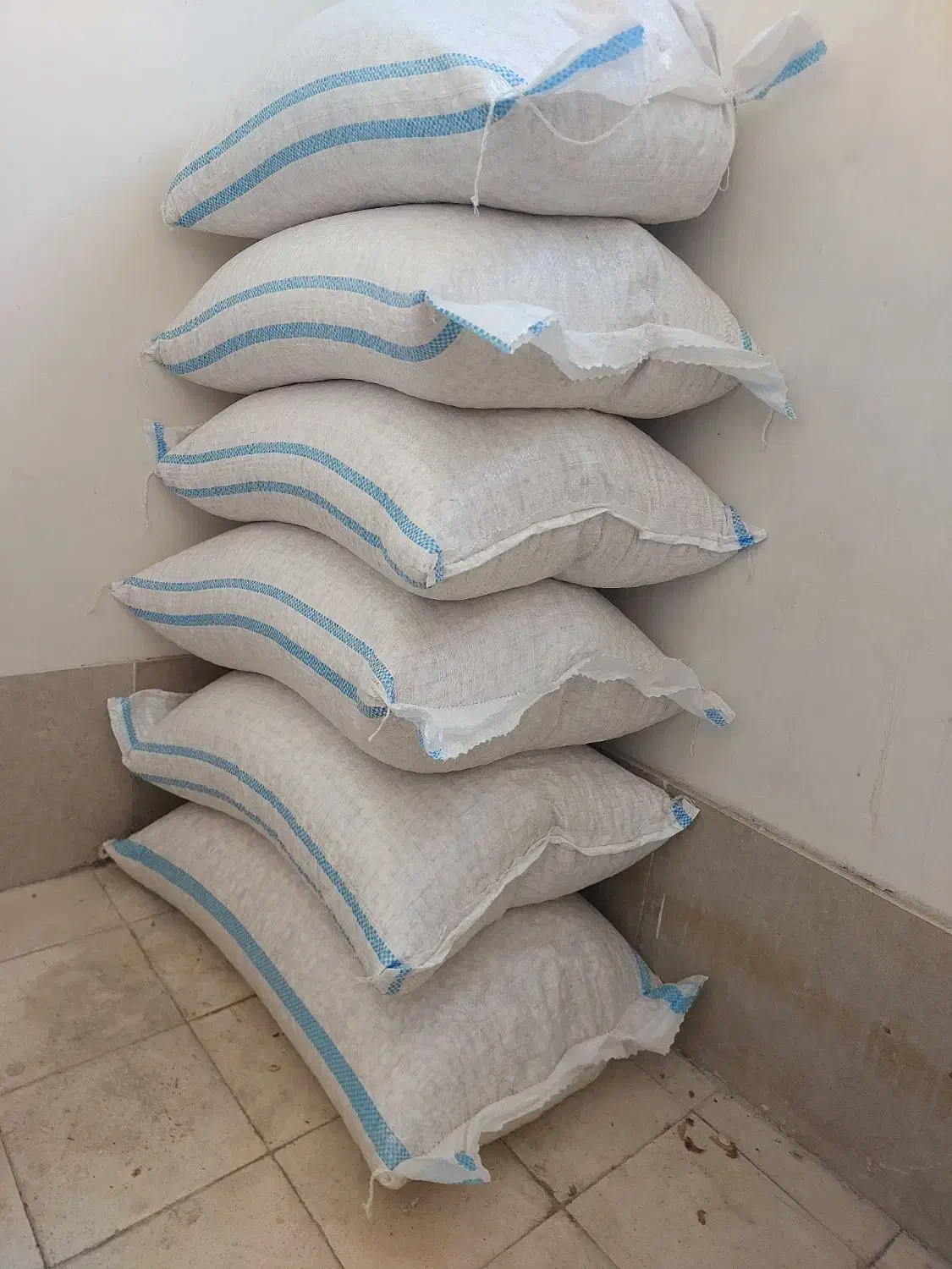 تخمه کدو گوشتی|خوردنی و آشامیدنی|شیراز, گلشن|دیوار