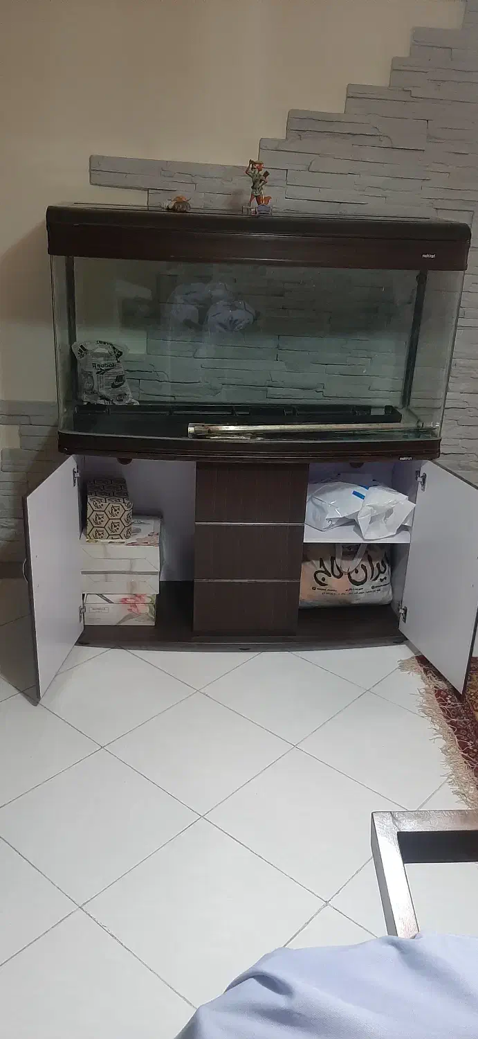 آکواریوم شیشه خم|ماهی|تهران, گیشا|دیوار