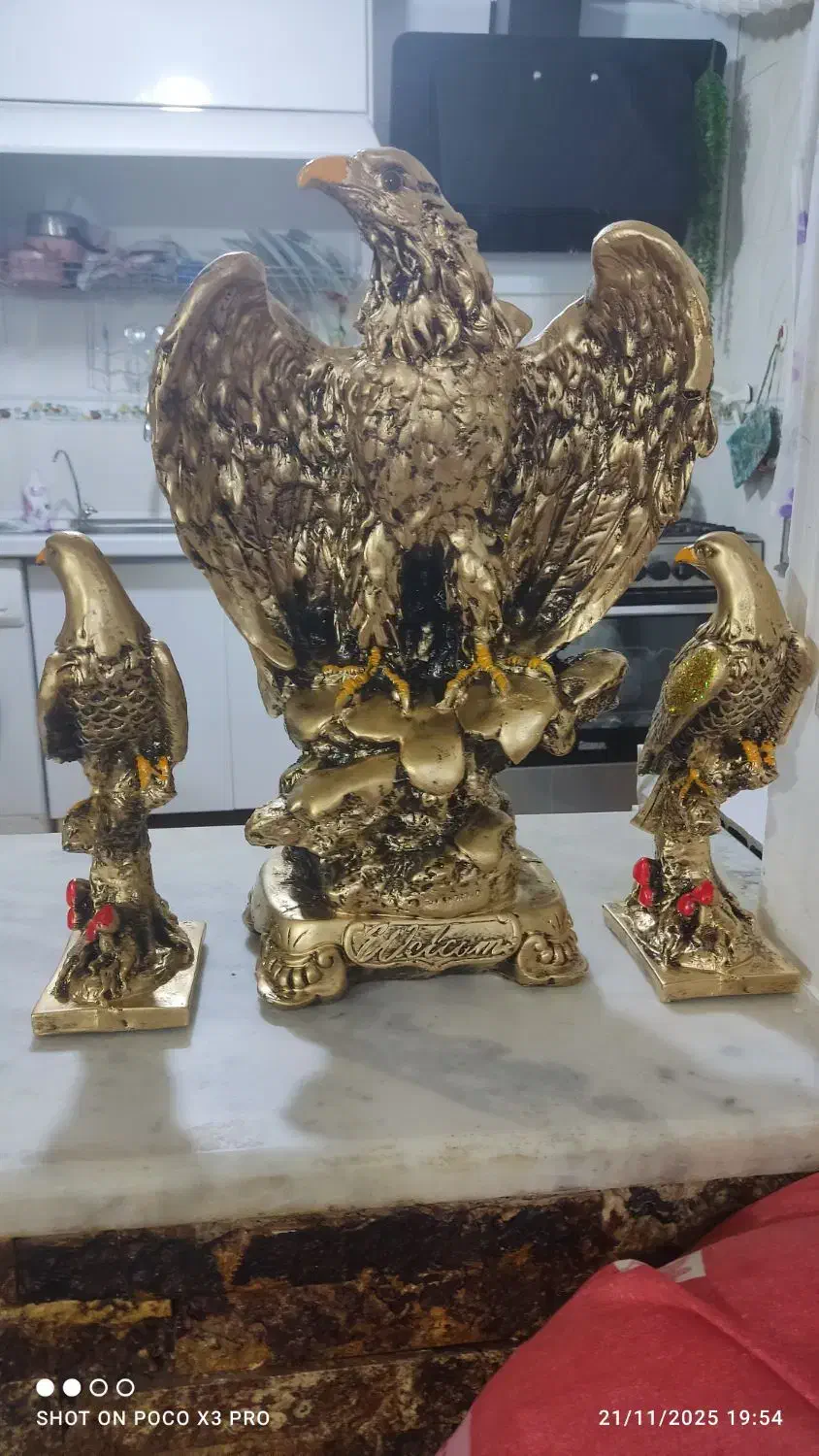 نداشتن فضای مناسب|مجسمه، تندیس، ماکت|بوشهر, |دیوار