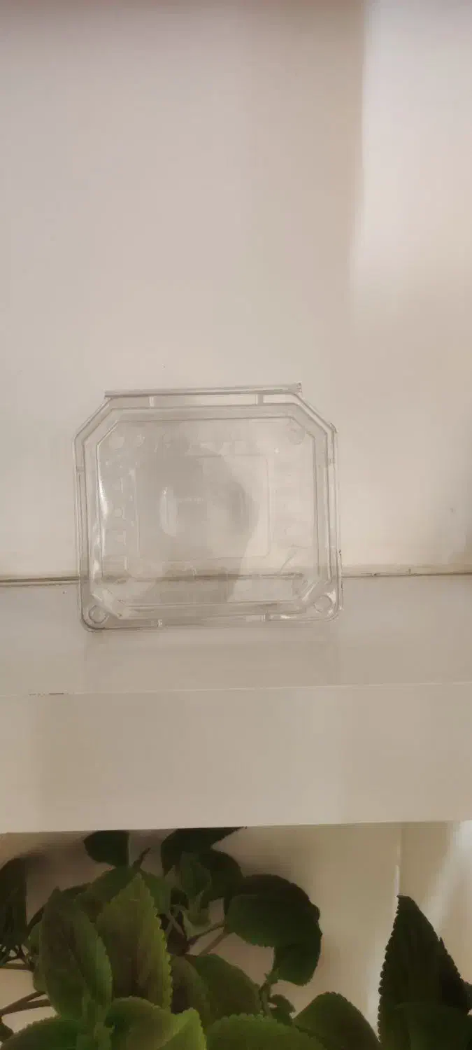 ظرف گوجه زیتونی|ظروف نگهدارنده، پلاستیکی، یکبارمصرف|شهرضا, |دیوار