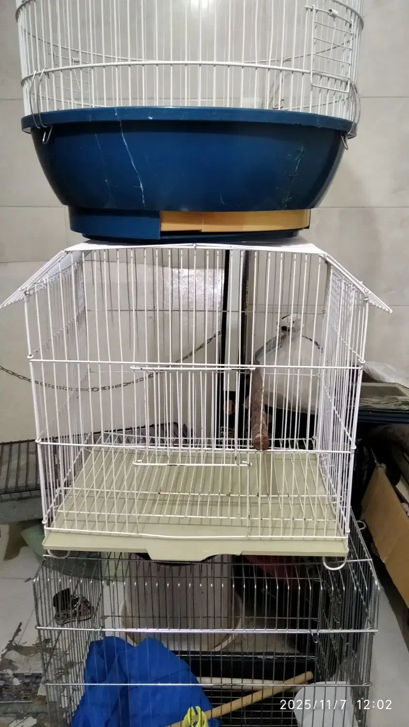 قفس پرنده|لوازم جانبی حیوانات|اصفهان, ملک‌شهر|دیوار