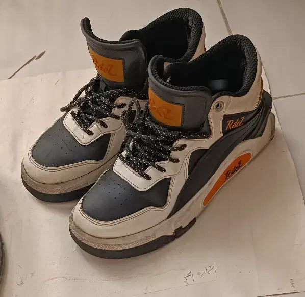 چهار جفت کفش کاملا نو|کیف، کفش، کمربند|پرند, فاز ۵|دیوار