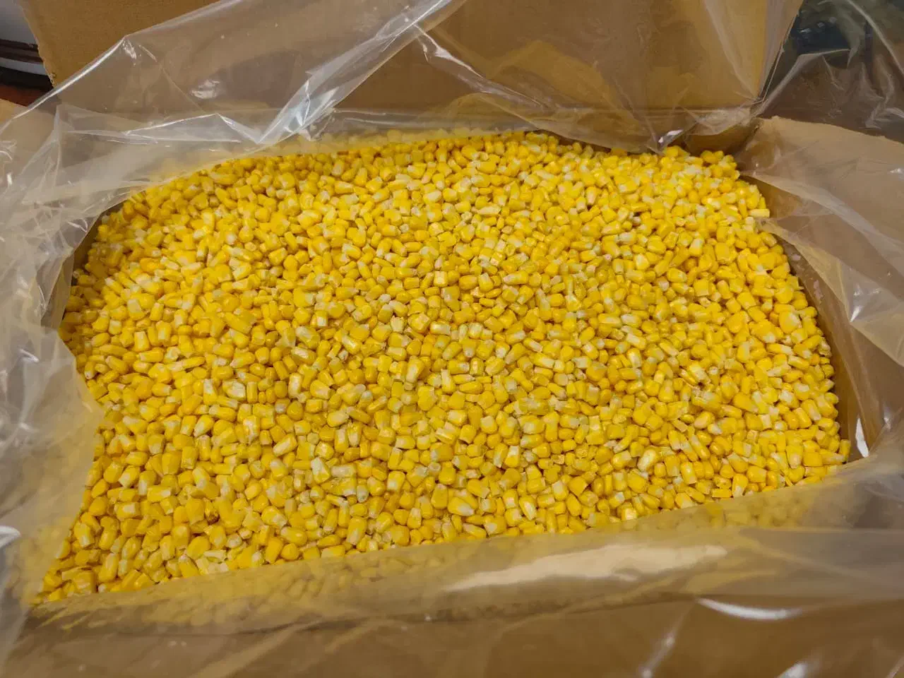 ذرت مکزیکی ایرانی و تایلندی ارسال رایگان|خوردنی و آشامیدنی|تهران, تهرانسر شمالی|دیوار