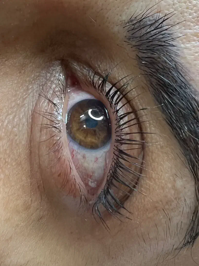 اکستنشن مژه با 50درصد تخفیف|خدمات آرایشگری و زیبایی|شاهین‌شهر, عطار|دیوار