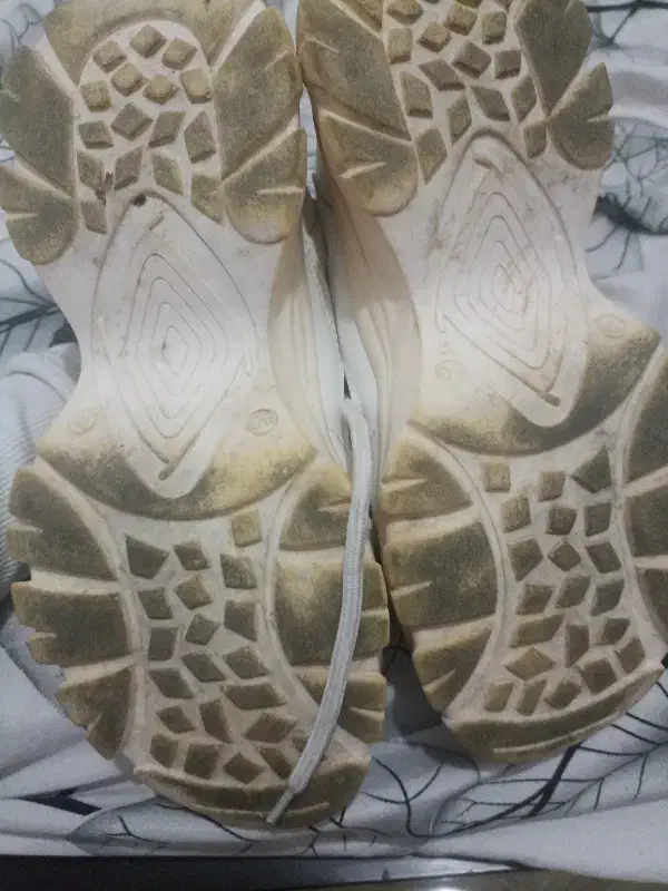 کتونی زنانه سایز ۴۰|کیف، کفش، کمربند|رشت, منظریه|دیوار