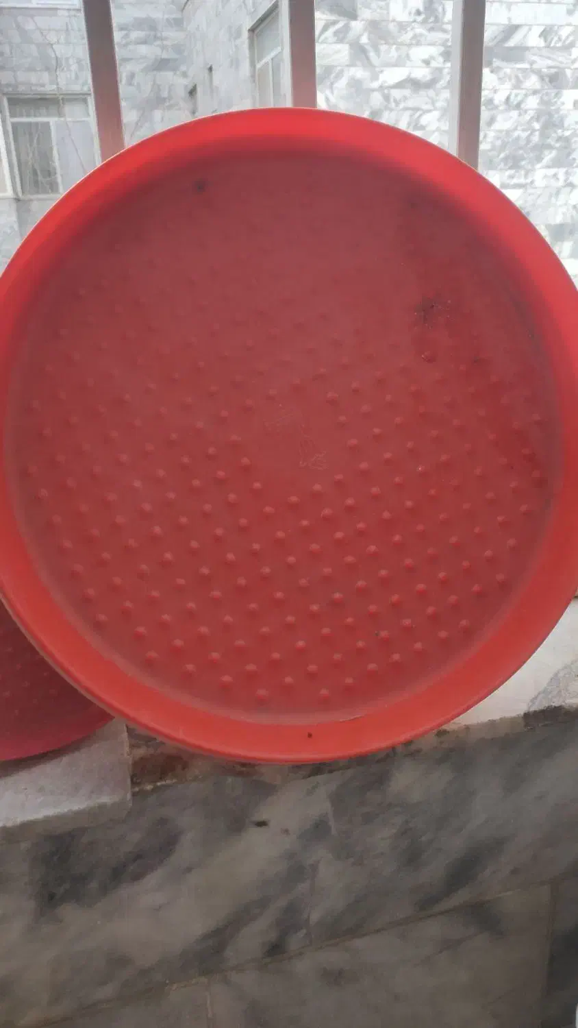 غذاخوری مرغ و پرنده|لوازم جانبی حیوانات|مشهد, مشکینی (شهرک غرب)|دیوار