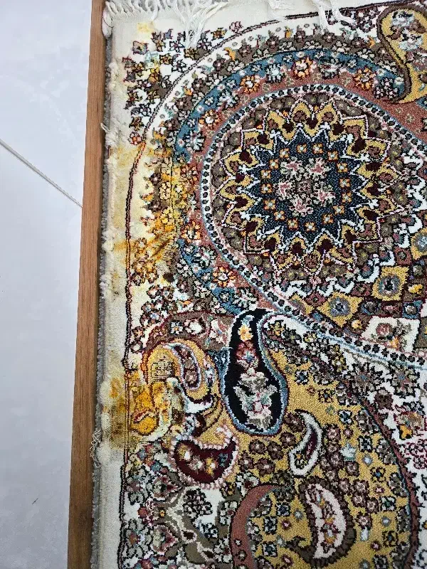 فرش ۹متری|فرش|دزفول, |دیوار