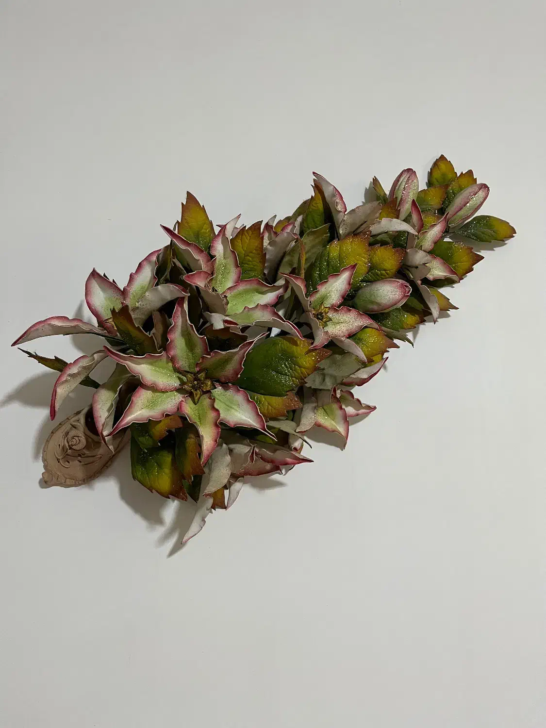 گل مصنوعی|گل مصنوعی|لنگرود, |دیوار