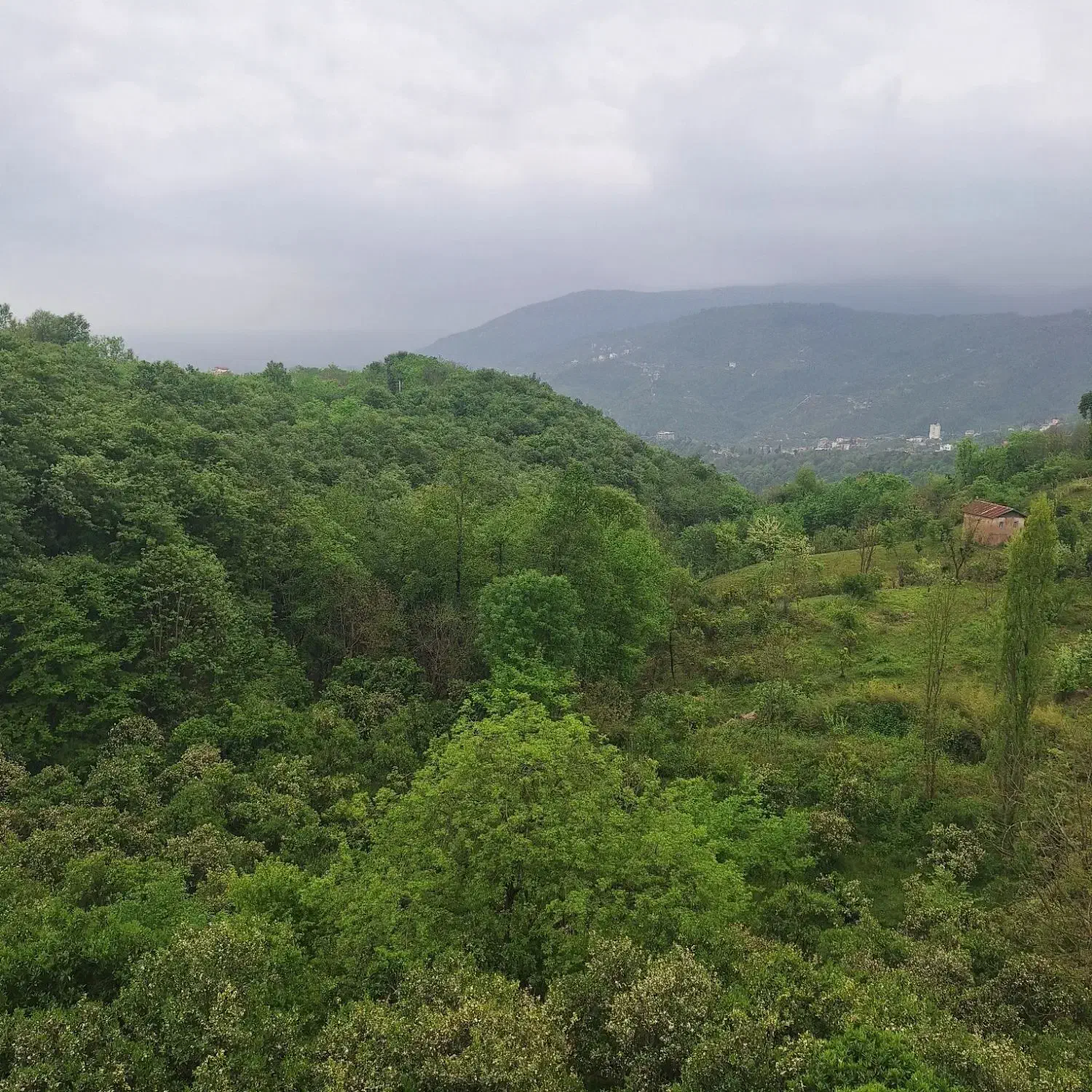 ویلاجنگلی اربکله رامسر|اجارهٔ کوتاه‌مدت ویلا و باغ|رامسر, |دیوار