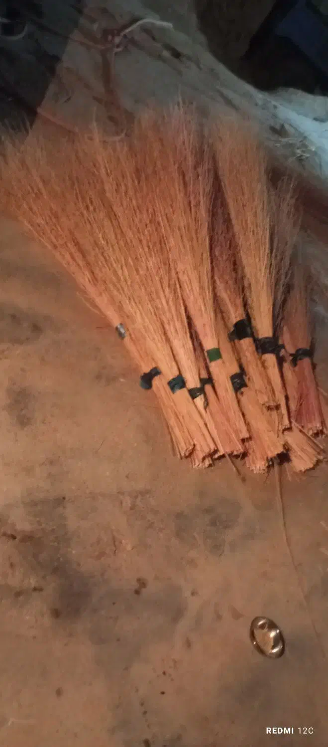 جارو خانگی|جاروبرقی، جارو شارژی، بخارشو|لردگان, |دیوار