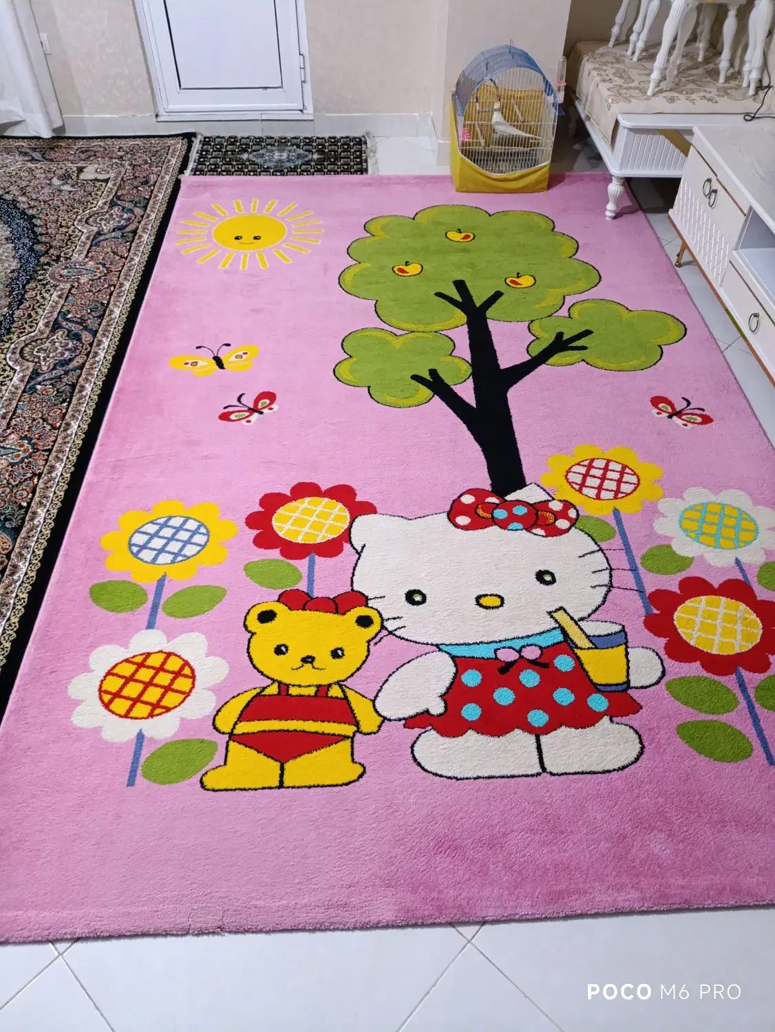 تعدادی لوازم خانگی|فرش|بندرعباس, |دیوار