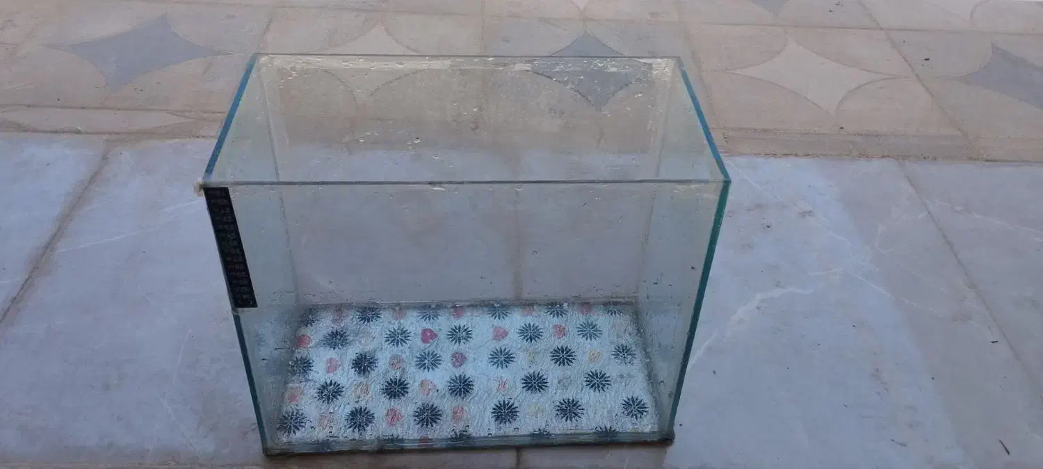 آکواریم نونو|ماهی|خزل, |دیوار