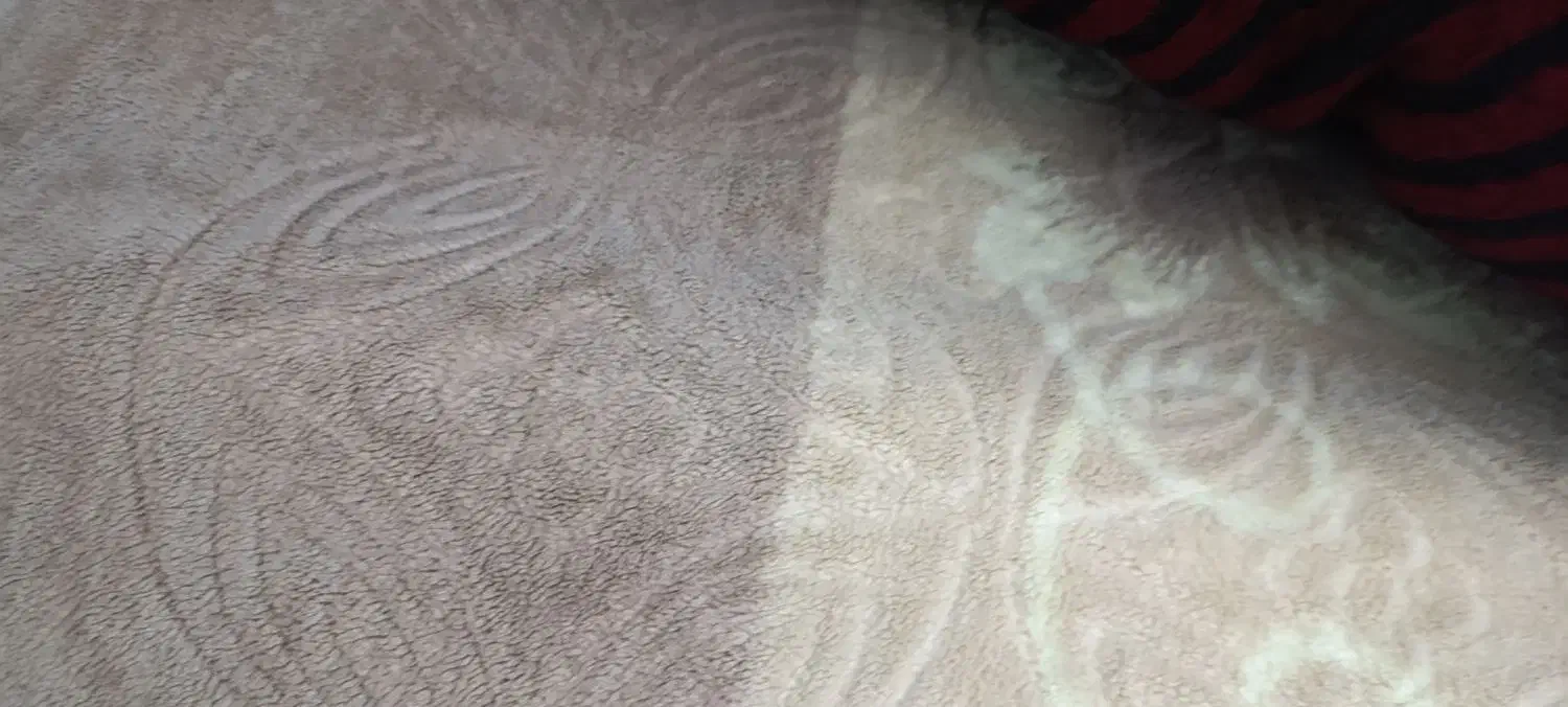 گلیم فرش در حد نو و جاکفشی|گلیم، جاجیم، گبه|بندر ماهشهر, |دیوار