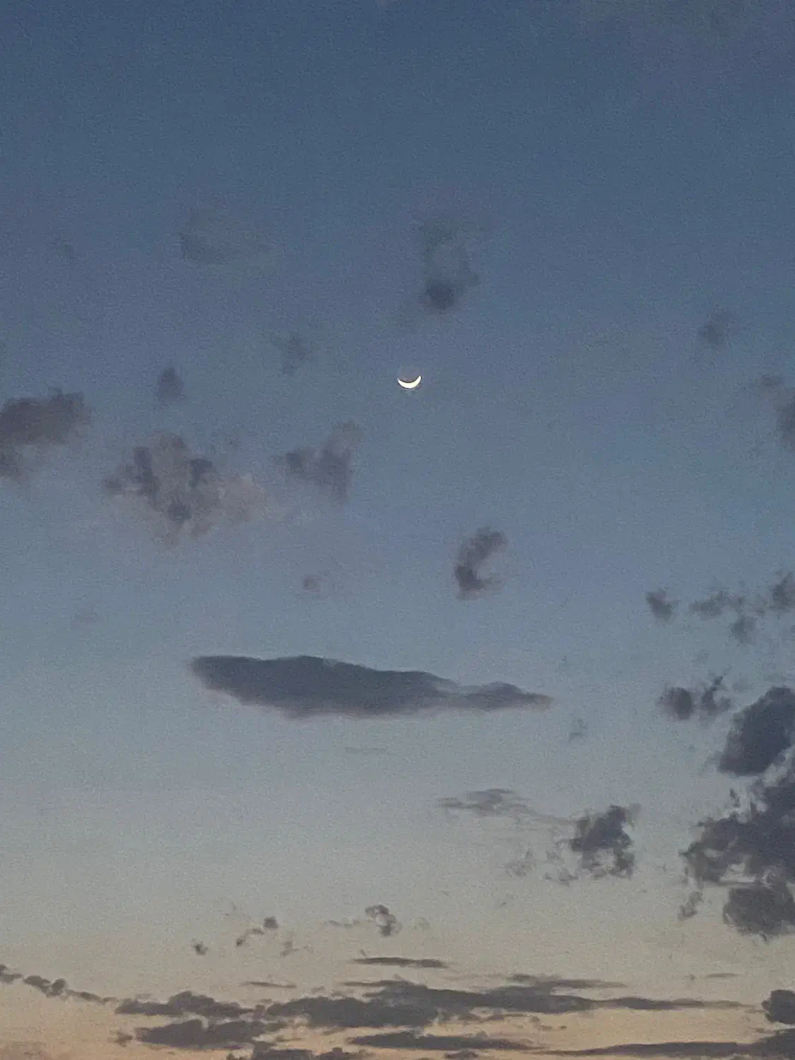 استخدام طراح ،تولیدمحتوا فضایمجازیغیر حضوری|استخدام هنری و رسانه|تهران, شمسآباد|دیوار