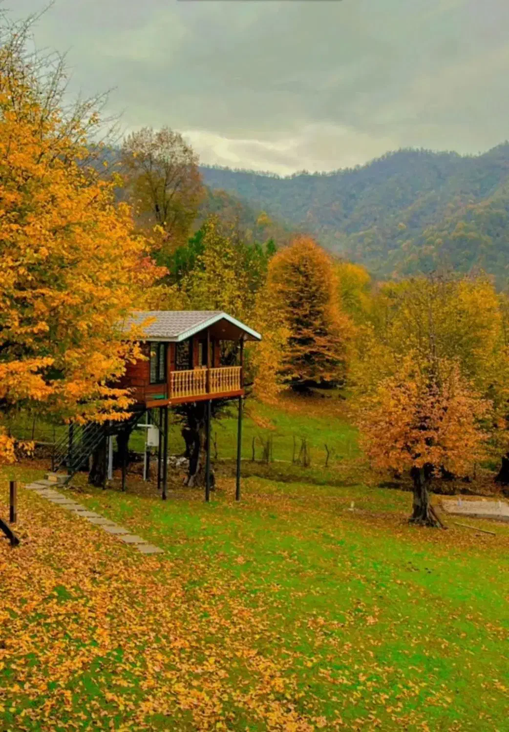 نیازمند یه فقره وام|خدمات مالی، حسابداری، بیمه|رشت, ولکس|دیوار