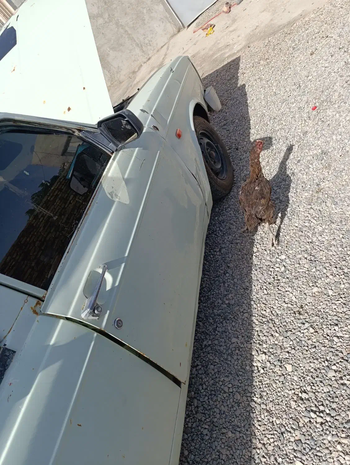 پیکان وانت مدل۹۲ شاسی پ|خودرو سواری و وانت|سیب و سوران, |دیوار