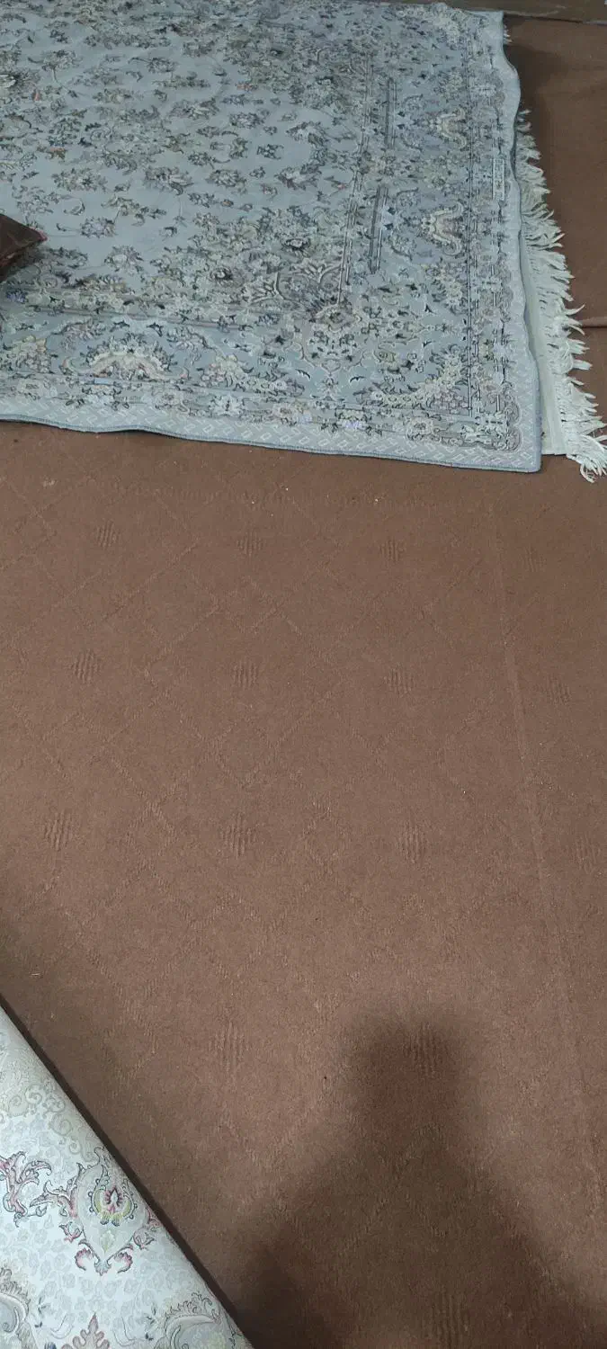 موکت|موکت|بجنورد, |دیوار