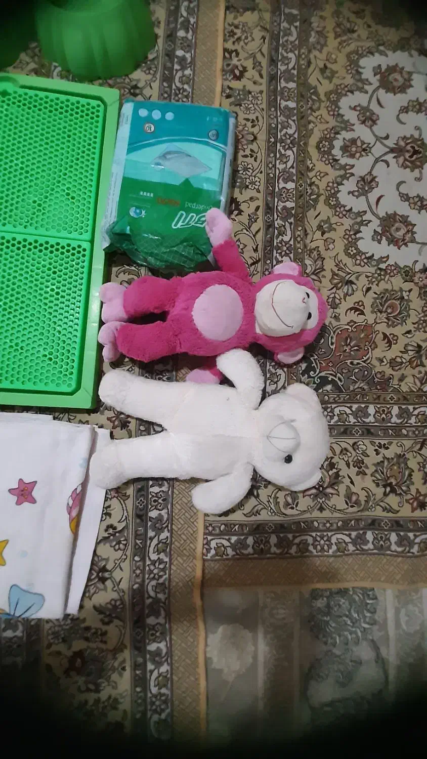 لوازم مورد نیاز پِت|لوازم جانبی حیوانات|کاشان, آیت الله سعیدی|دیوار