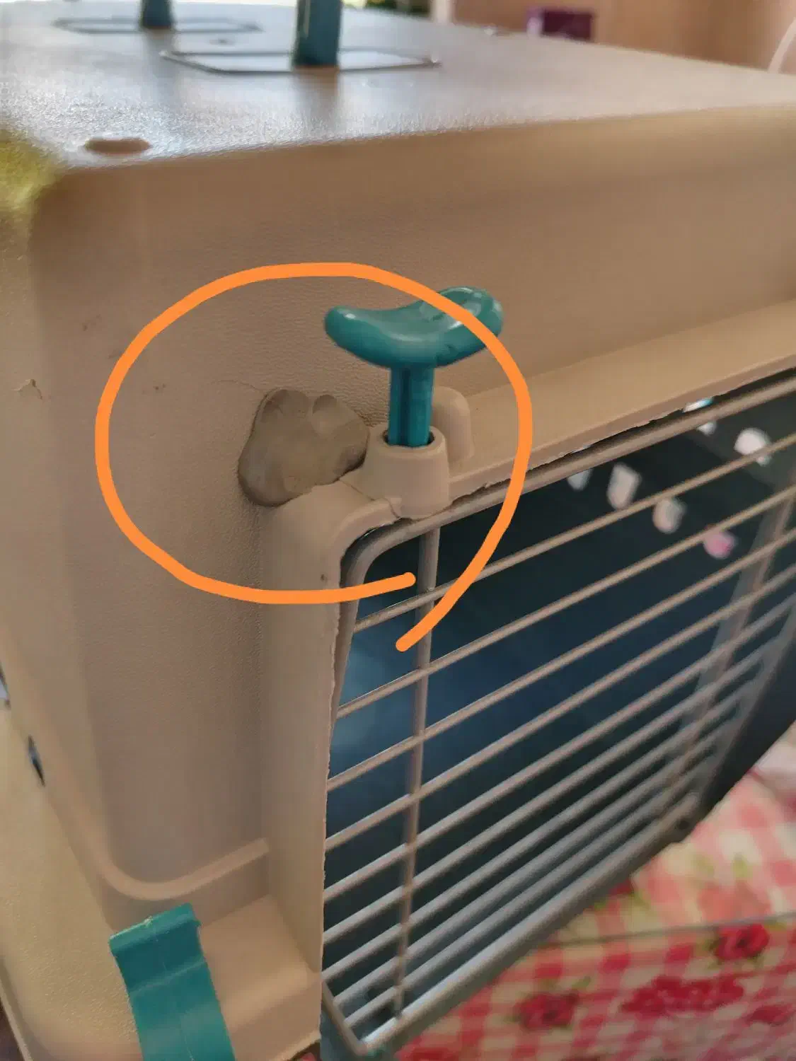 باکس نگهداری گربه|لوازم جانبی حیوانات|گنبد کاووس, |دیوار