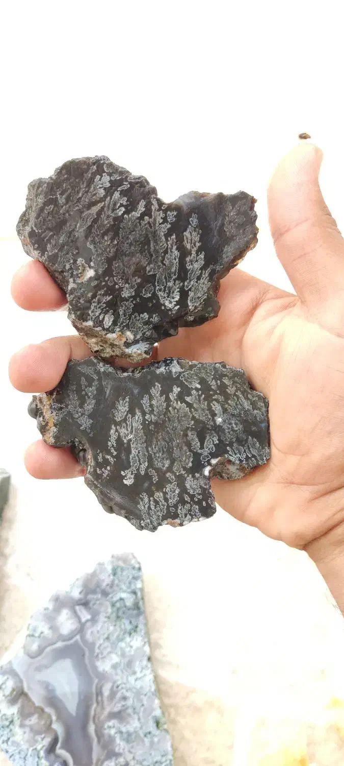 سنگ شجر کلکسیونی|جواهرات|برازجان, |دیوار