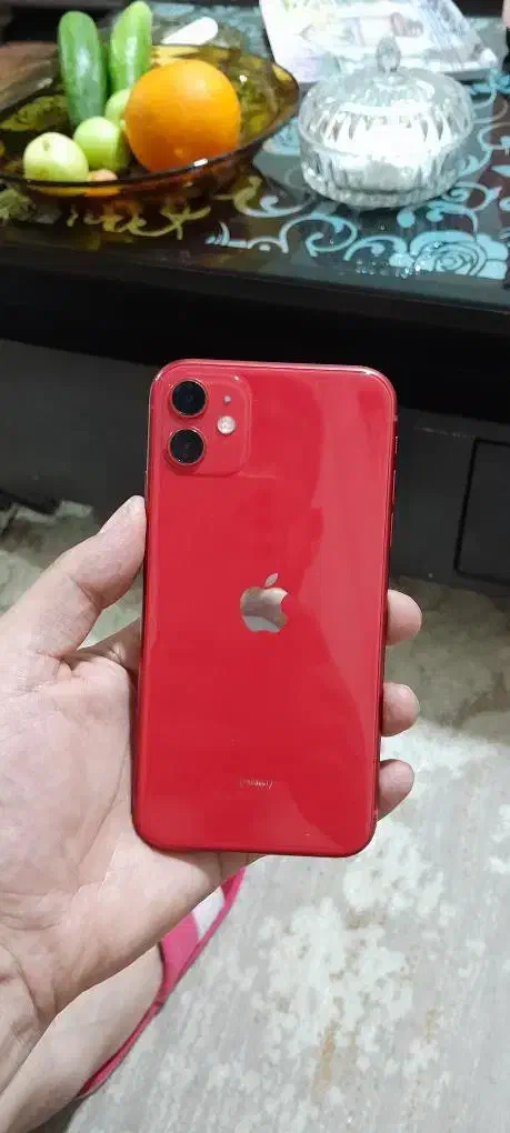 گوشی ایفون11|موبایل|قائم‌شهر, |دیوار